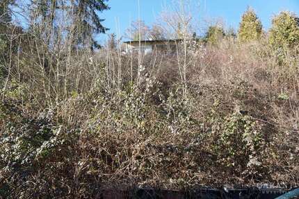 Grundstück Horb am Neckar - 80.000&euro; | Angebot:25287494