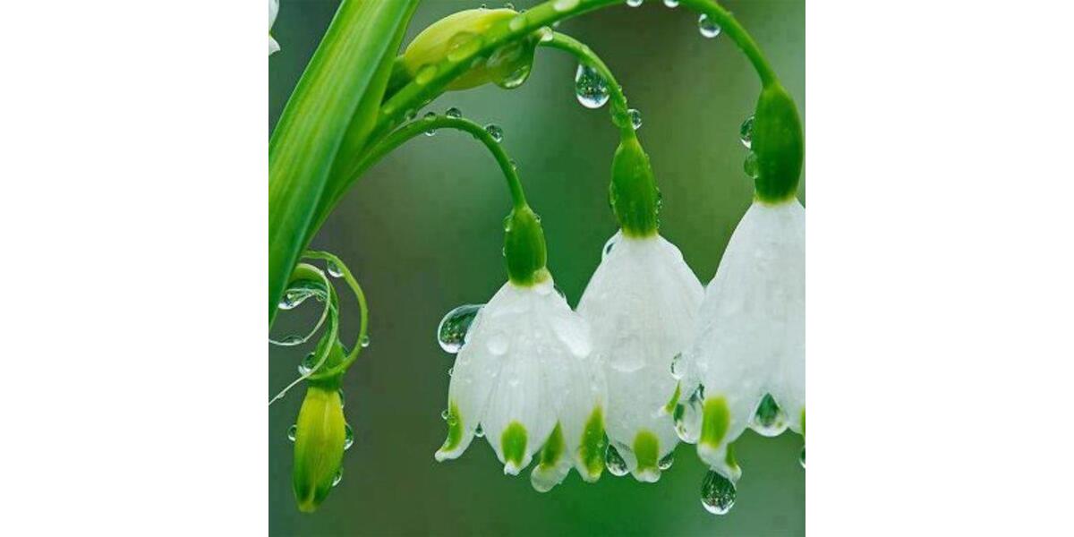 2 Zimmer Wohnung 74 qm mit Balkon in München Ebersberg 2 zimmer