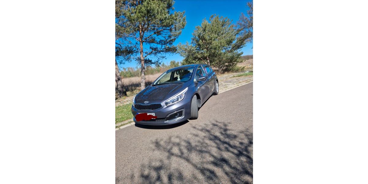 Kia ceed / Ceed 84.000 km 8.950 &euro; Ruhland 01945