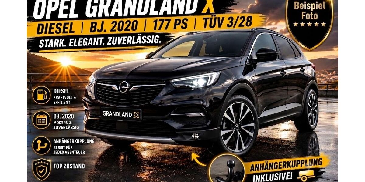 Opel Grandland (X) 112.000 km 18.599 &euro; Paderborn 33104