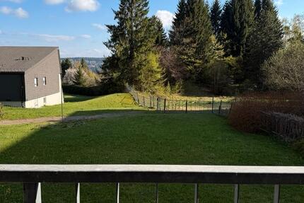 Wohnung Freudenstadt - 1 Zimmer, 35 m&sup2;, 740&euro; | Angebot:26253128