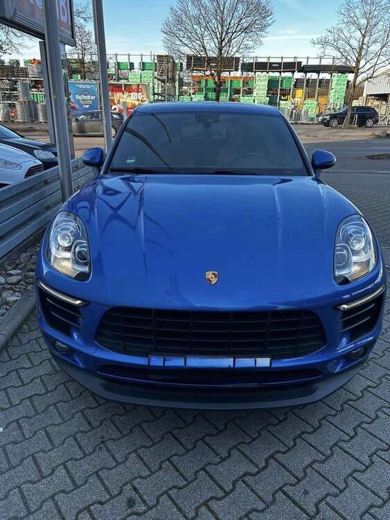 Macan