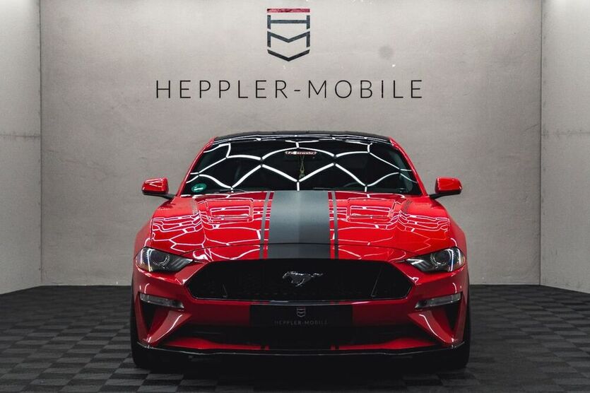 Mustang