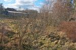 Bauernhaus, Landhaus Amt Neuhaus - 4 Zimmer, 200 m&sup2;, 60.000&euro; | Angebot:26405737