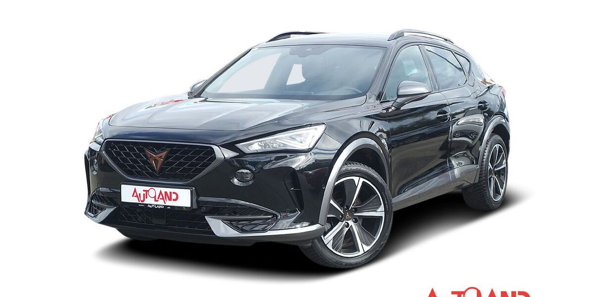 Cupra Formentor 51.441 km 24.990 &euro; Schwerin 19061