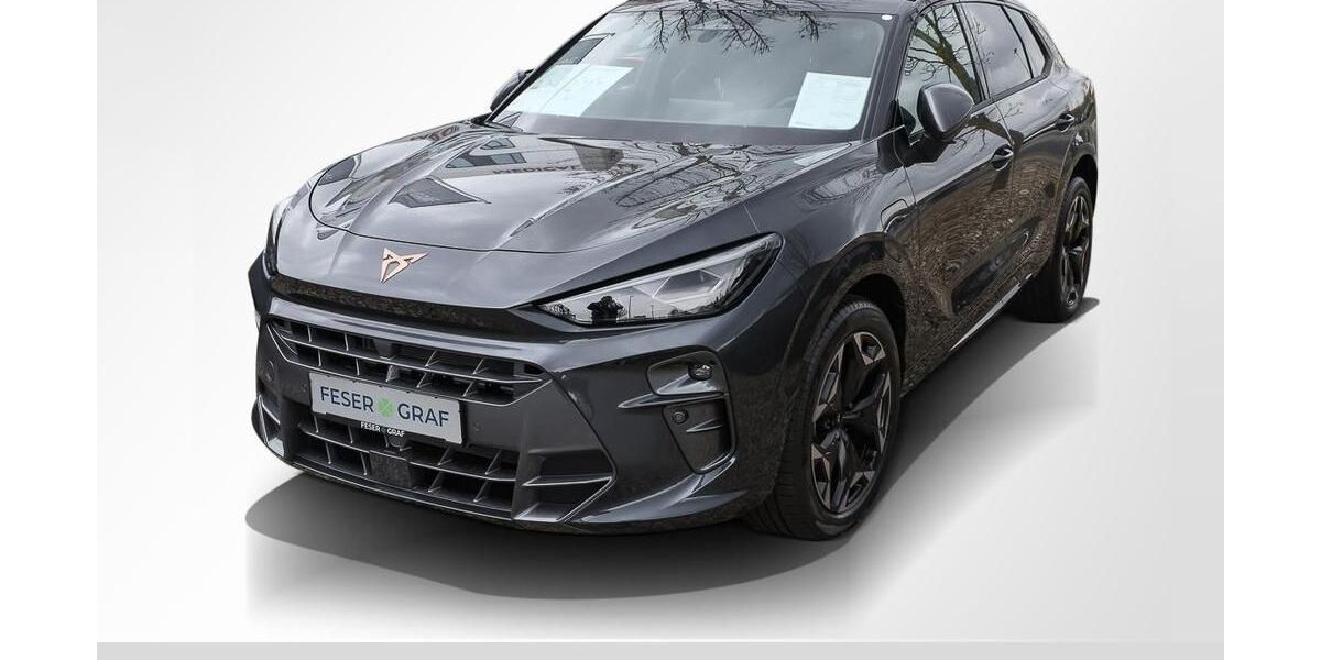 Cupra Terramar 11.000 km 45.880 &euro; Erlangen 91056