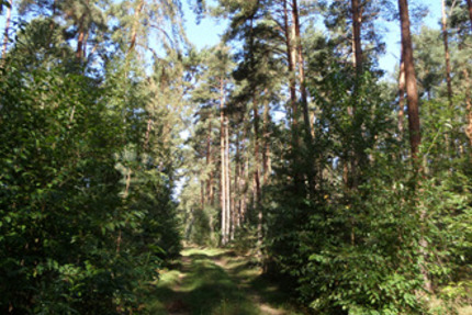 Grundstück Hohennauen Hohennauen - 541.000&euro; | Angebot:23264495