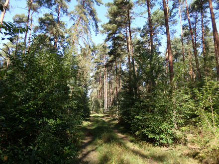 Grundstück Hohennauen Hohennauen - 541.000&euro; | Angebot:23264495