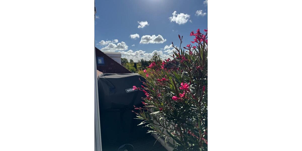 Dachgeschoßwohnung Wolfsburg Almke - 4 Zimmer, 120 m&sup2;, 315.000&euro; | Angebot:25124163