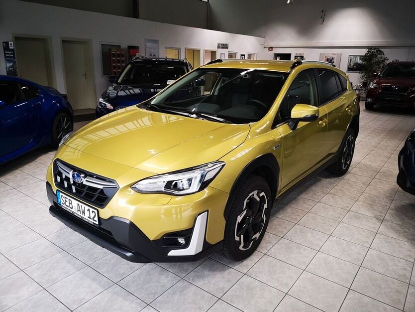 XV