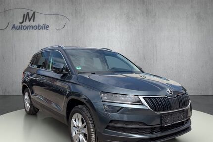 Skoda Karoq 141.000 km 18.490 &euro; Meckenbeuren 88074