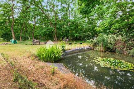 Privatsphäre pur: Idyllisches Anwesen in Alleinlage - 6.500 m² Grundstück & 198 m² Wohnhaus 4 zimmer