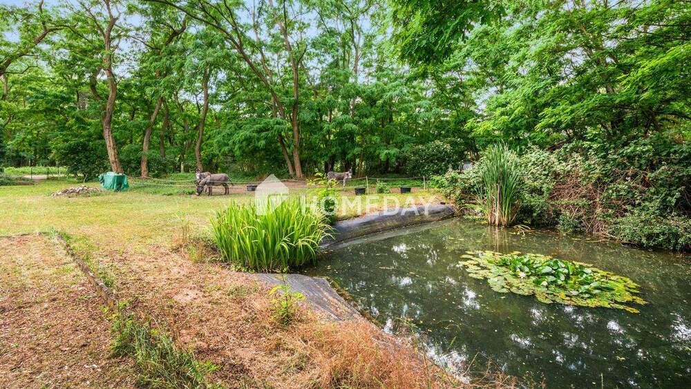 Privatsphäre pur: Idyllisches Anwesen in Alleinlage - 6.500 m² Grundstück & 198 m² Wohnhaus 4 zimmer