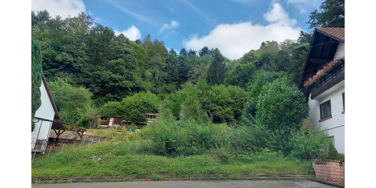 Grundstück zu verkaufen in Pirmasens 45.000 € 767 m² zimmer