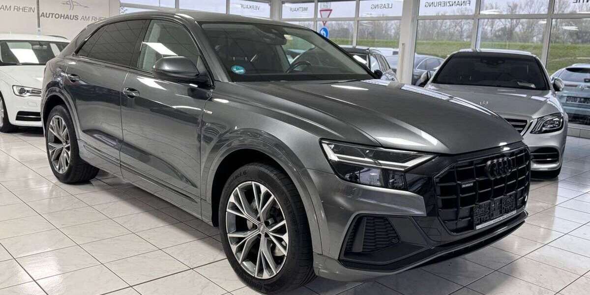 Audi Q8 199.000 km 39.990 &euro; Speyer 67346