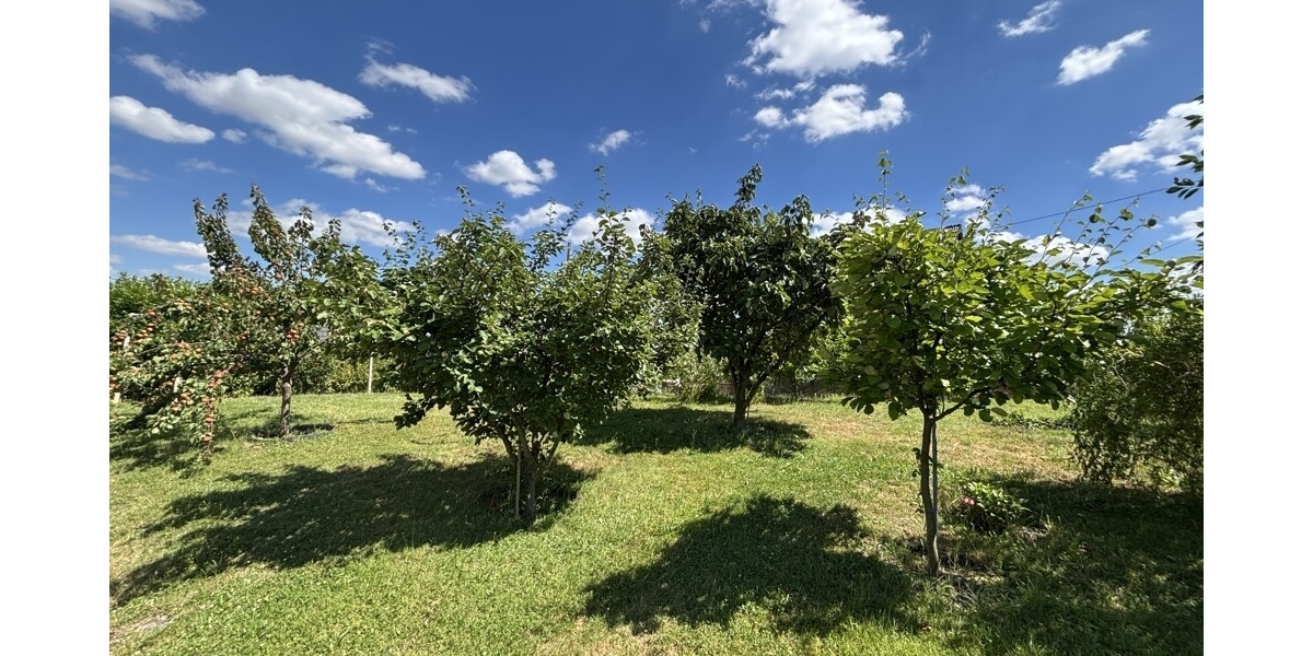 Großzügiges und idyllisch gelegenes Wohlfühlzuhause mit Wintergarten und großem Grundstück - Einfamilienhaus Klipphausen | Angebot:26990002
