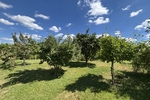 Großzügiges und idyllisch gelegenes Wohlfühlzuhause mit Wintergarten und großem Grundstück - Einfamilienhaus Klipphausen | Angebot:26990002