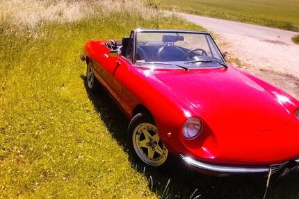 Alfa Romeo Spider 89.000 km 16.700 &euro; Nettersheim 53947