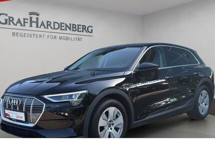 Audi e-tron 31.200 km 28.666 &euro; Lahr 77933