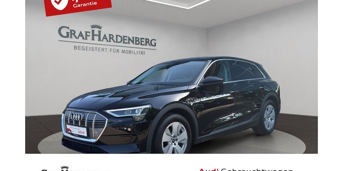 Audi e-tron 31.200 km 28.666 &euro; Lahr 77933