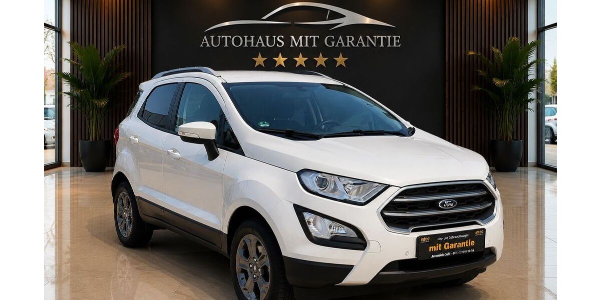 Ford EcoSport 115.029 km 8.590 &euro; Ludwigshafen am Rhein 67071