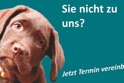 Mercedes-Benz B 200 11.211 km 31.990 &euro; Alfeld (Leine) 31061