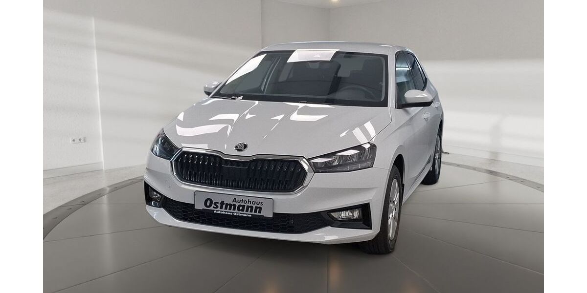 Skoda Fabia 9.705 km 18.440 &euro; Wolfhagen 34466