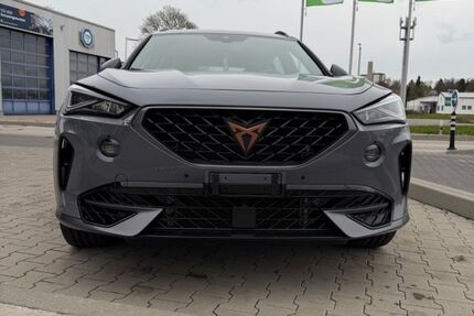 Cupra Formentor 79.000 km 27.555 &euro; Triberg 78098
