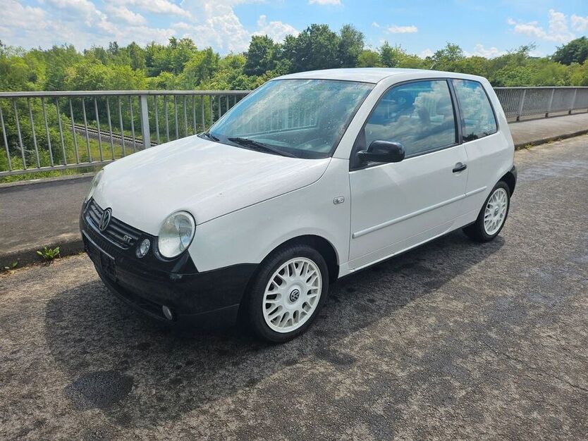 Lupo