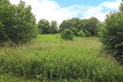 Grundstück Katzwinkel - 25.000&euro; | Angebot:25203731