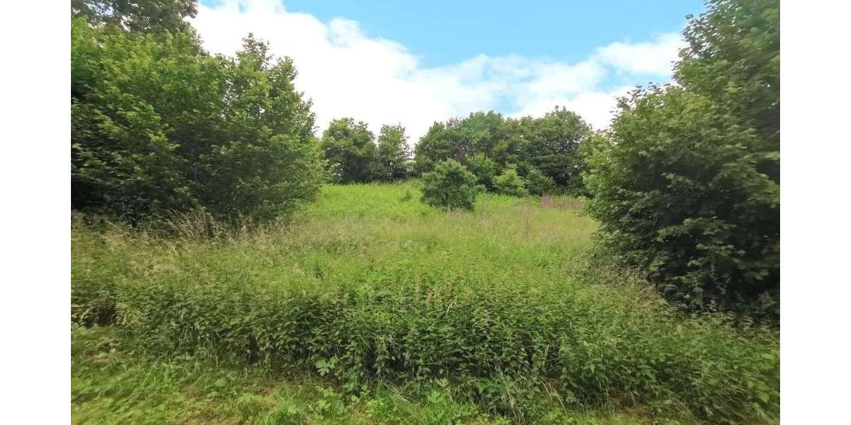 Grundstück Katzwinkel - 25.000&euro; | Angebot:25203731