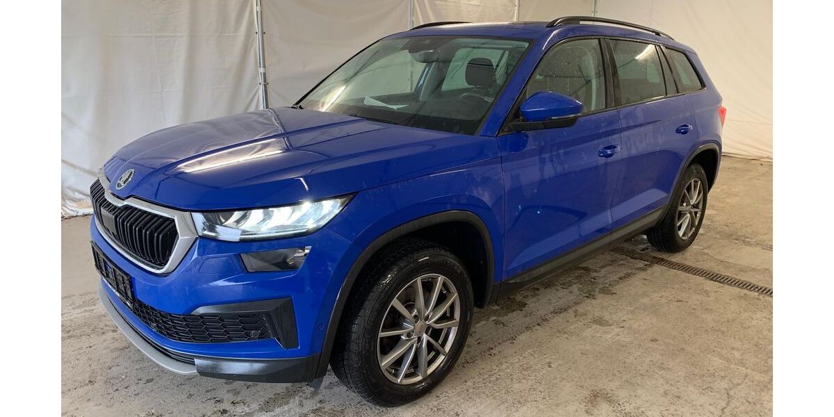 Skoda Kodiaq 135.038 km 21.990 &euro; Steinbach-Hallenberg OT Herges-Hallenberg 98587