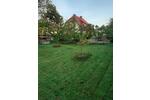 Einfamilienhaus Ribnitz-Damgarten Damgarten - 5 Zimmer, 142 m&sup2;, 369.000&euro; | Angebot:27133698