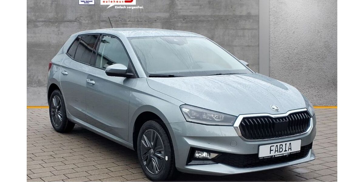 Skoda Fabia 1.617 km 27.490 &euro; Schwäbisch Gmünd 73525