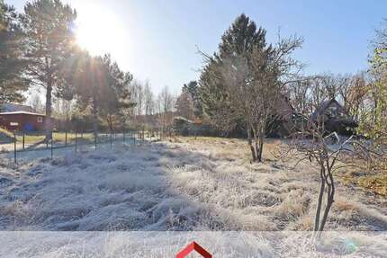 Grundstück Neu Darchau - 50.000&euro; | Angebot:23757742