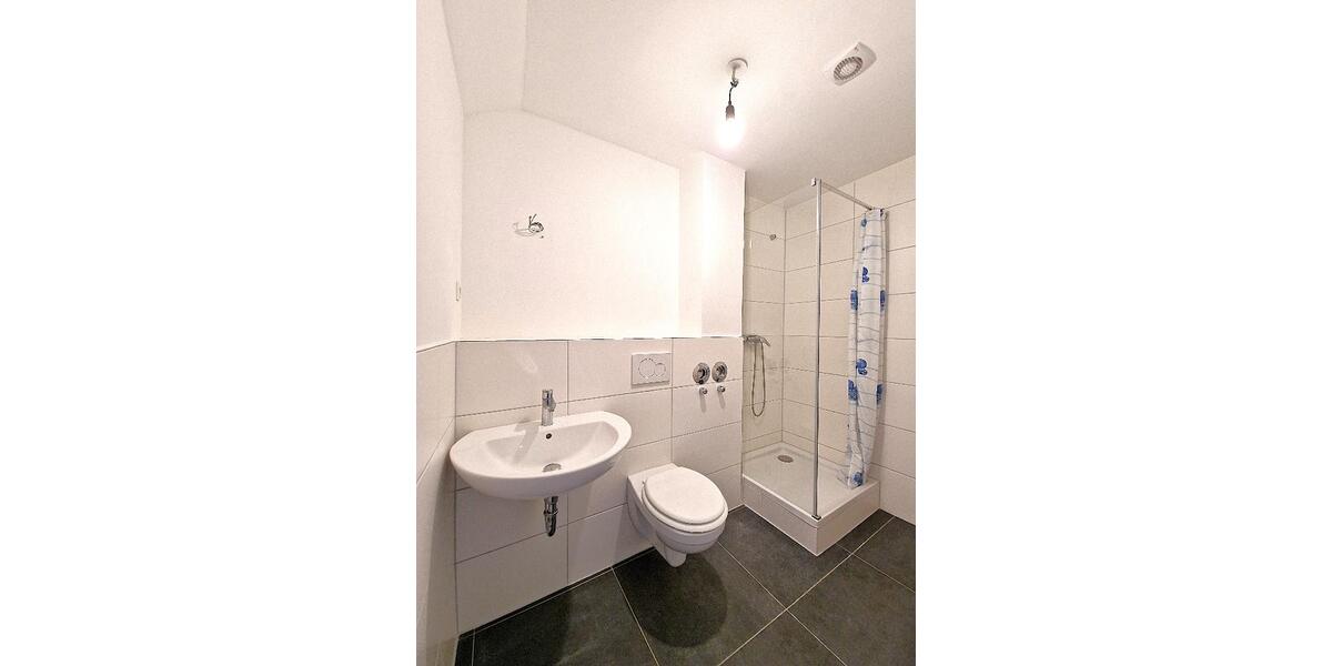 Solide Kapitalanlage mit 9 Apartments und 1 Lager - Mehrfamilienhaus, Wohnhaus Ludwigshafen Friesenheim | Angebot:25752457