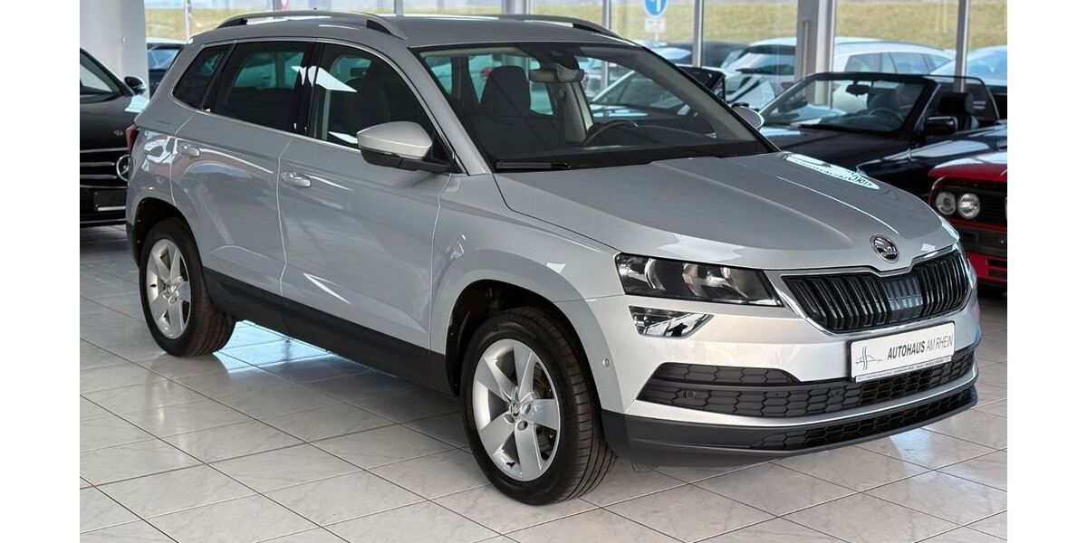 Skoda Karoq 131.000 km 19.990 &euro; Speyer 67346