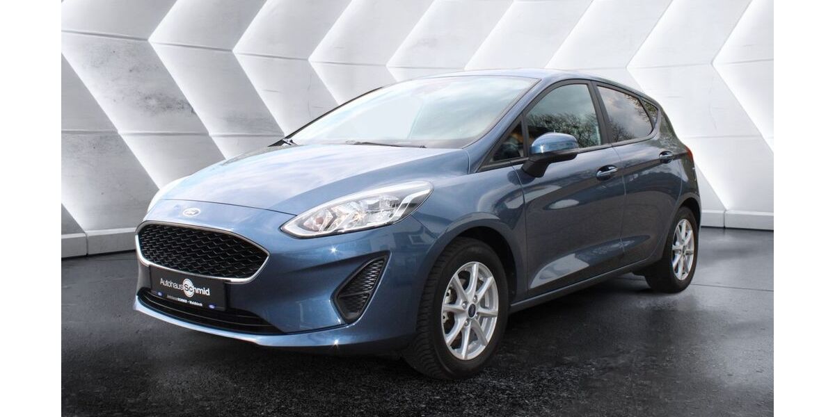 Ford Fiesta 94.317 km 9.900 &euro; Waldkirch 79183