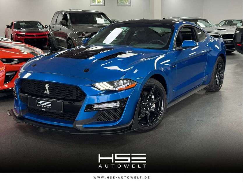 Mustang