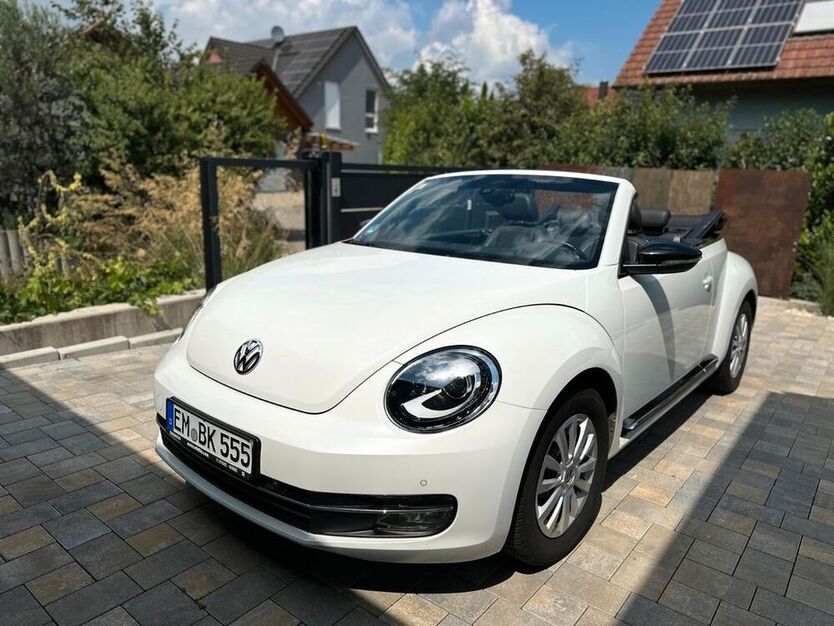 Beetle