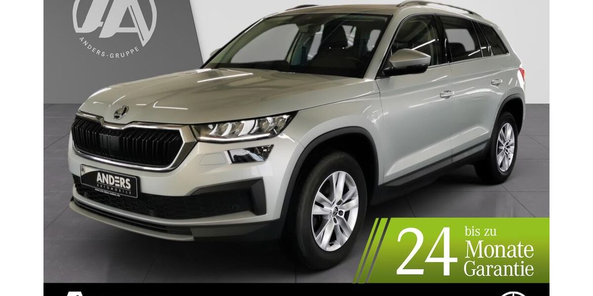 Skoda Kodiaq 110.800 km 28.494 &euro; Vechta 49377
