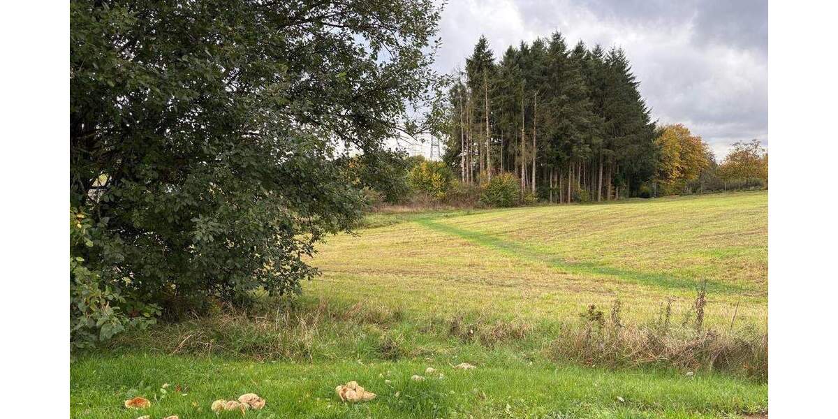 Grundstück Beuren - 36.000&euro; | Angebot:25692929