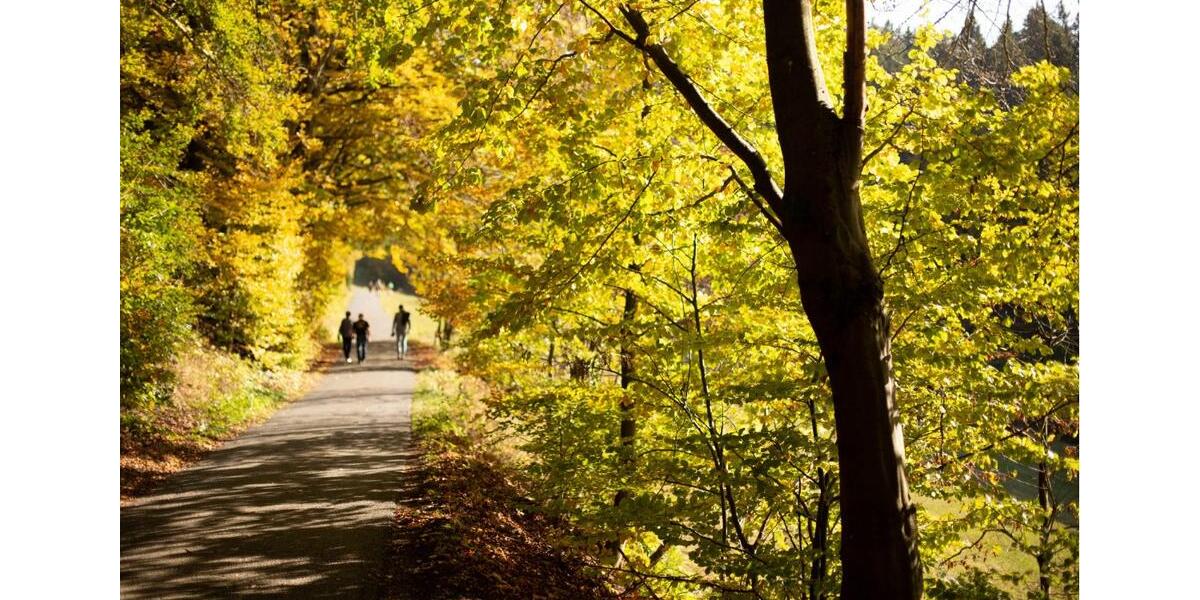 Gewerbeobjekt Katzhütte - 1.000&euro; | Angebot:24253255