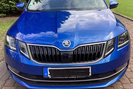 Skoda Octavia 62.000 km 15.950 &euro; Ahnsen 31708