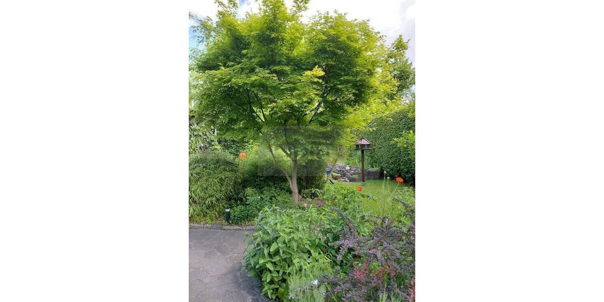 Grundstück Schorfheide Finowfurt - 85.000&euro; | Angebot:26879155
