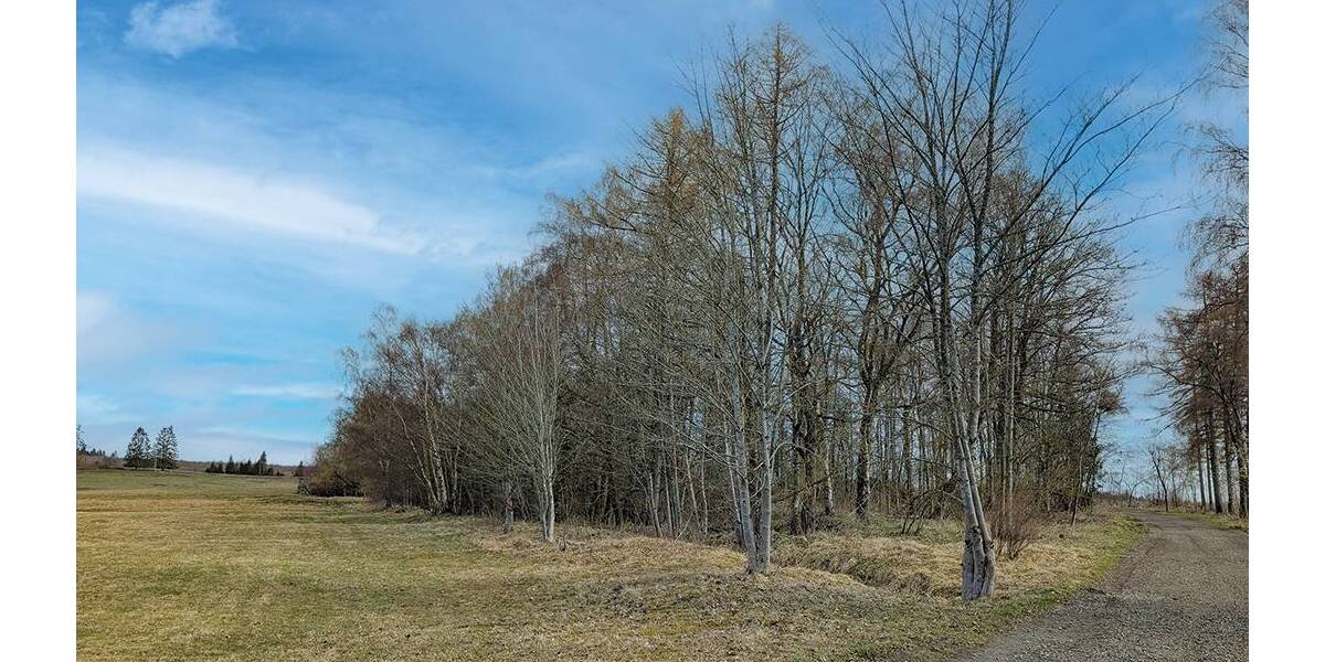 Grundstück Oberharz am Brocken Benneckenstein - 25.000&euro; | Angebot:26246276