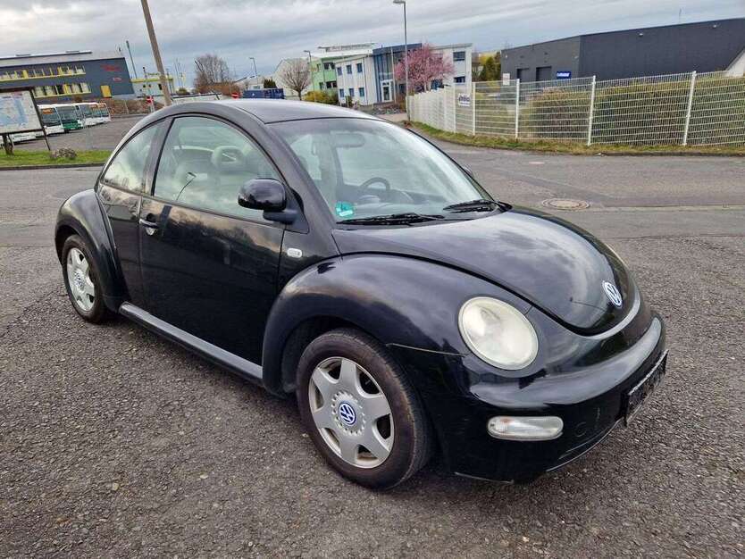 New Beetle