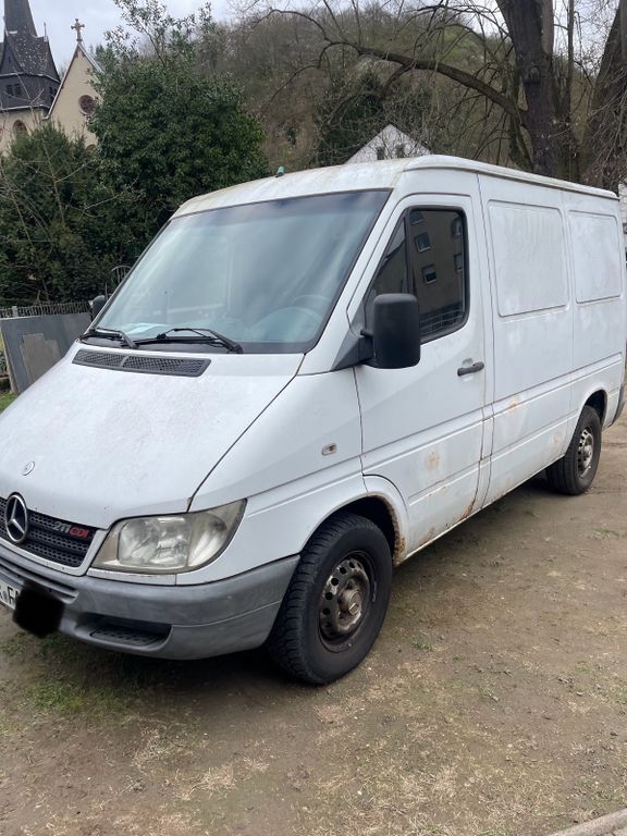 Sprinter
