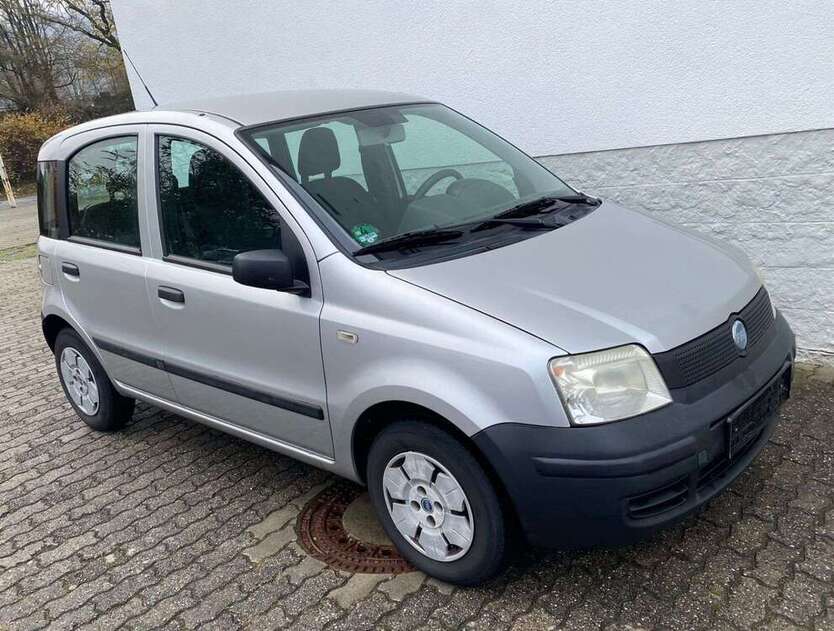 Panda