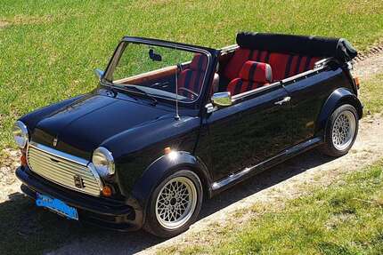 Rover MINI